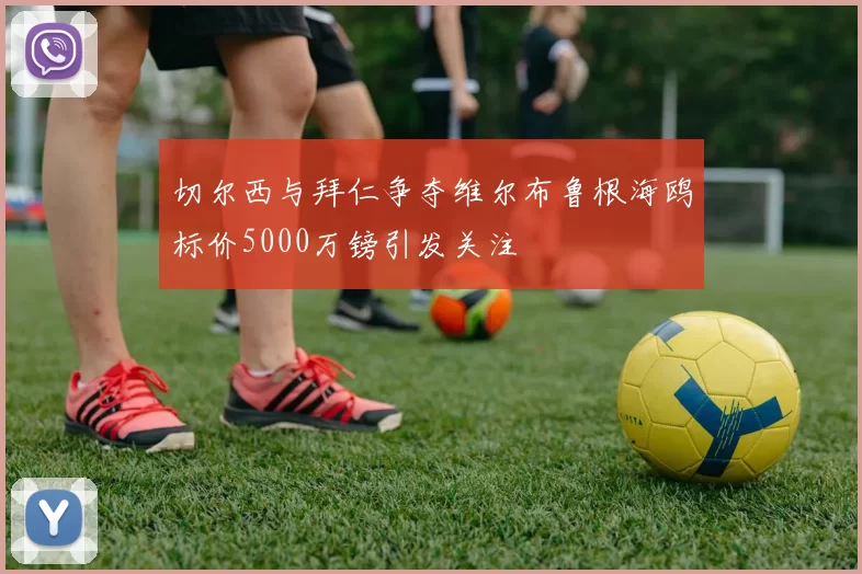 切尔西与拜仁争夺维尔布鲁根海鸥标价5000万镑引发关注