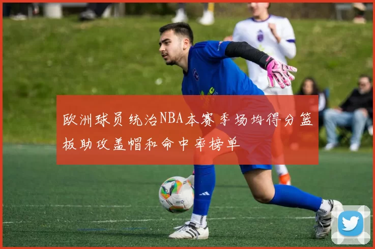 欧洲球员统治NBA本赛季场均得分篮板助攻盖帽和命中率榜单